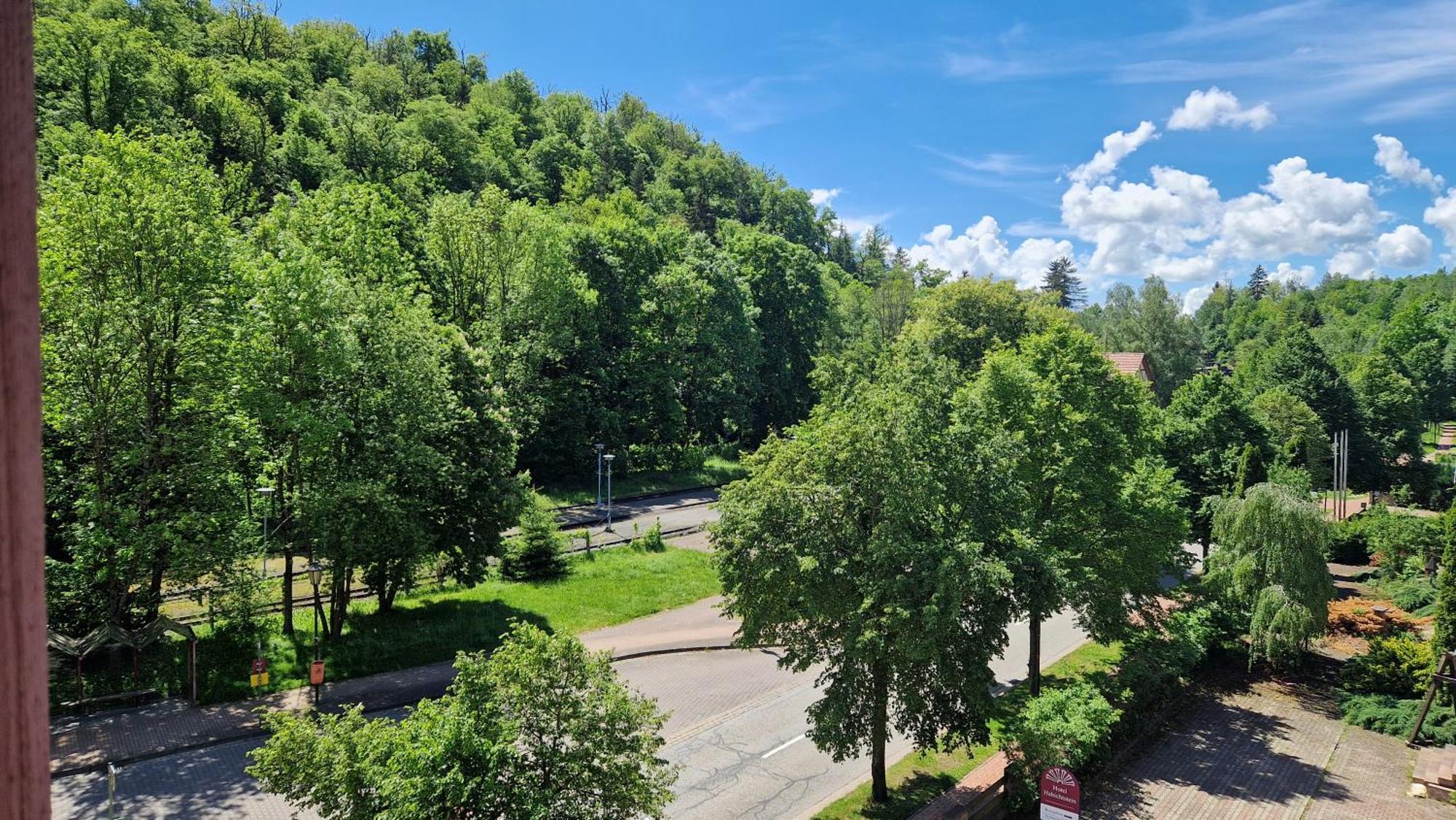 Hotel Habichtstein Alexisbad Eksteriør bilde